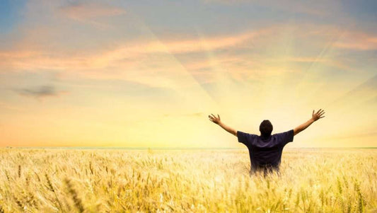 Man in paddy field with bright sunshine