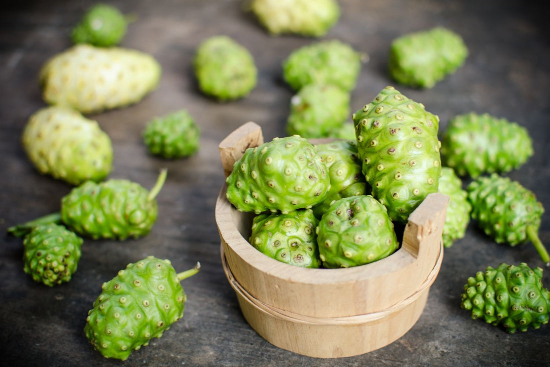 Noni Fruit, Morinda Citrifolia